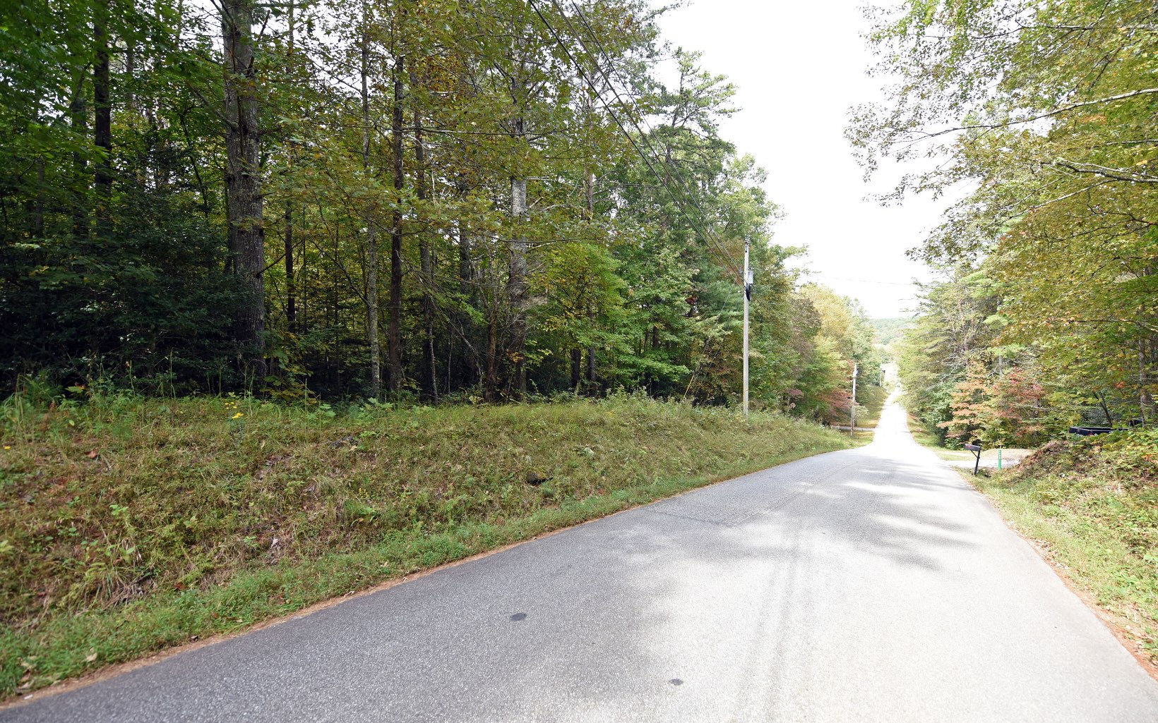 Lot 2 Hamilton Road Blairsville, GA 30512 - Photo 1 of 1 Main View