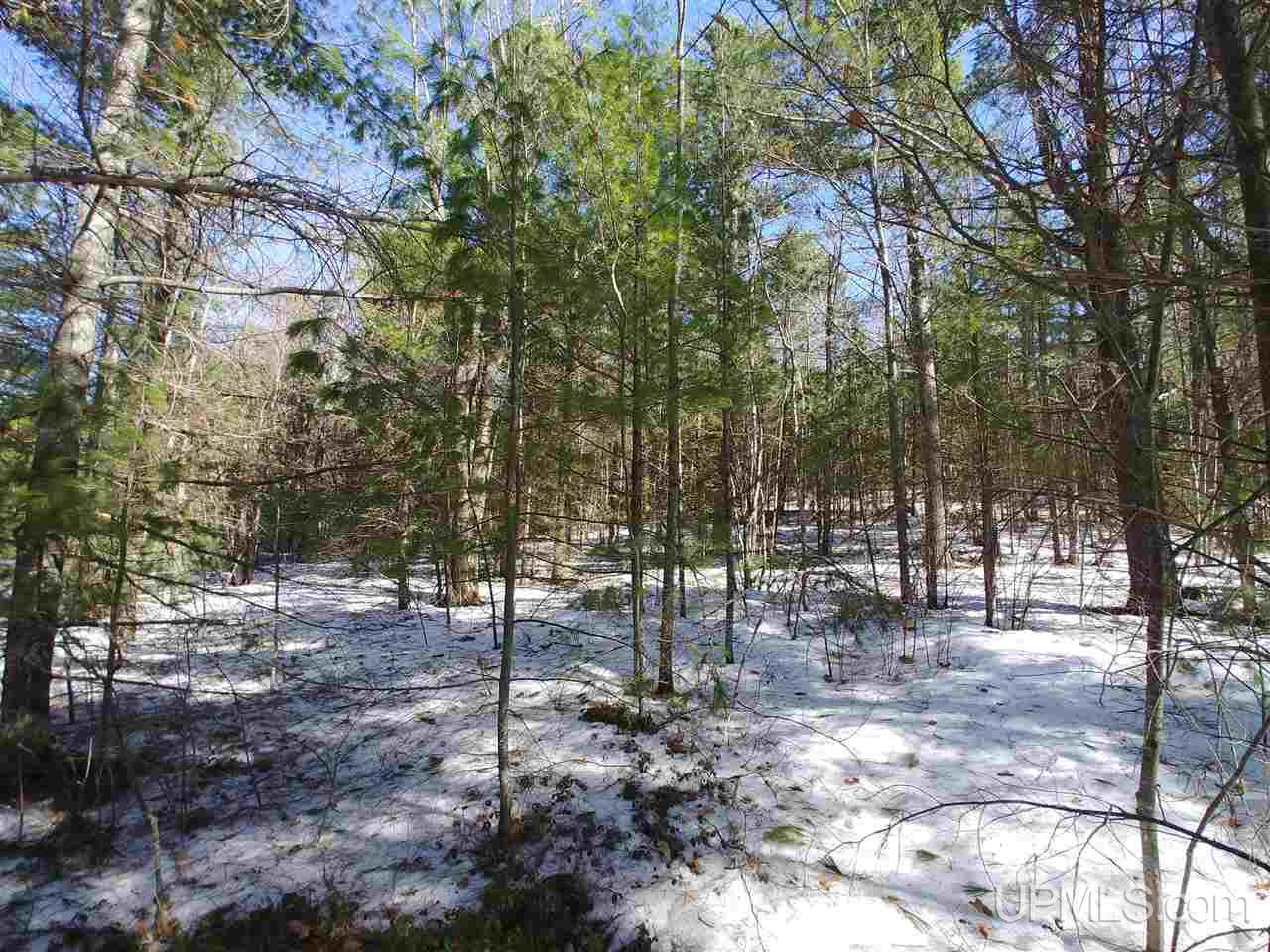 Tbd Tbd Millyard Road Little Lake, MI 49833 - Photo 6 of 8