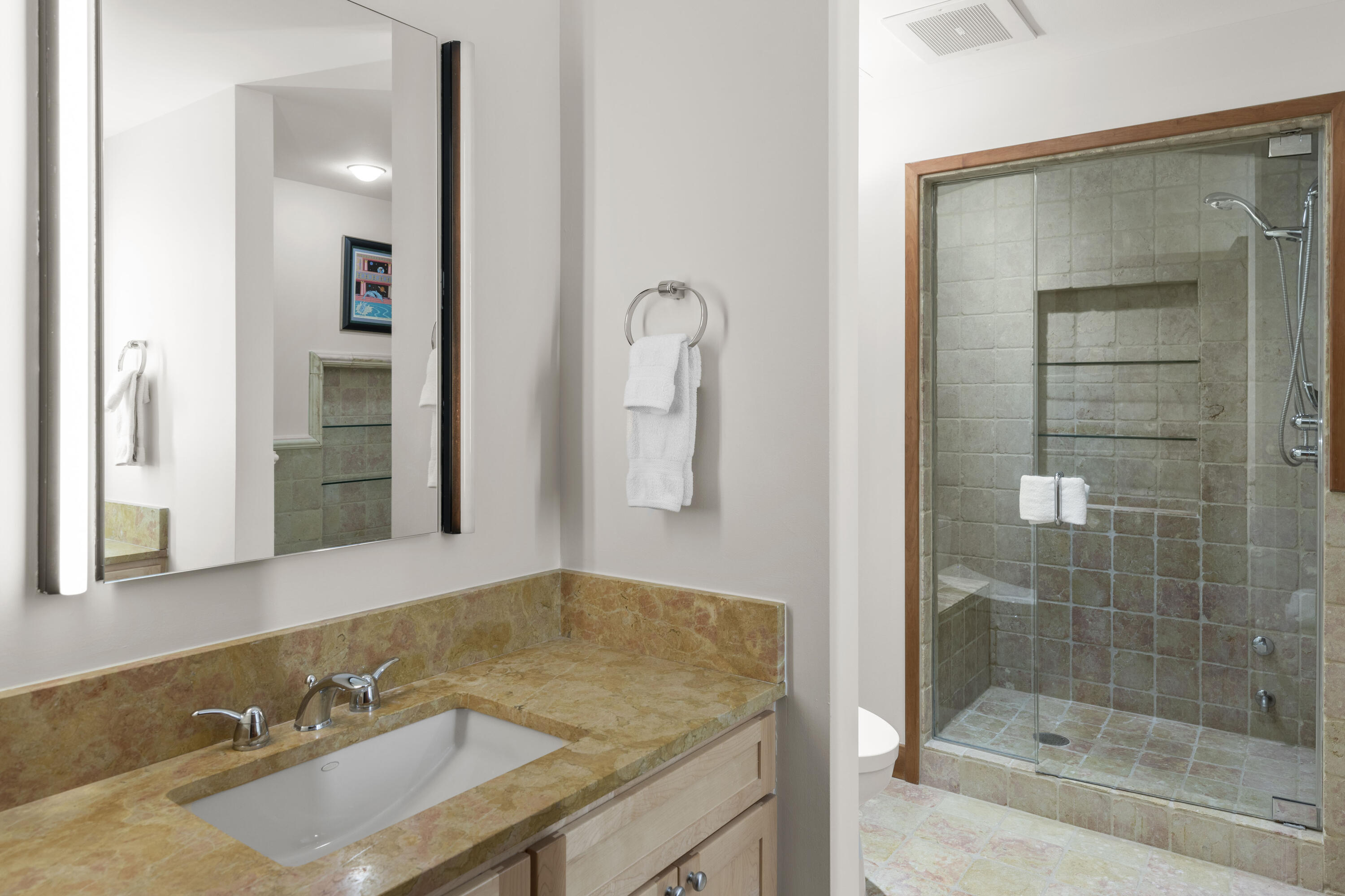 368 South Davis Street, Unit A7 Telluride, CO 81435 - Photo 11 of 14 a bathroom with a granite countertop sink a mirror and shower