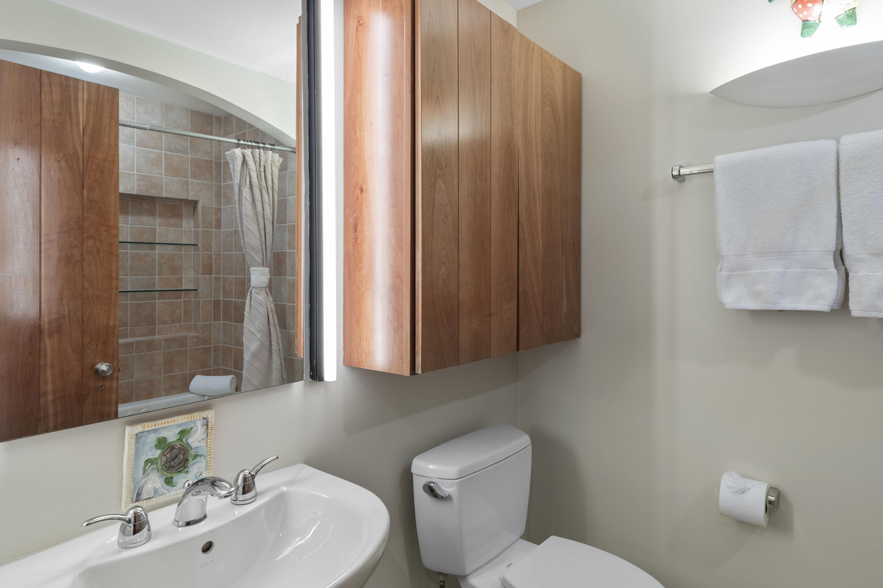 368 South Davis Street, Unit A7 Telluride, CO 81435 - Photo 9 of 14 a bathroom with a toilet a sink and mirror