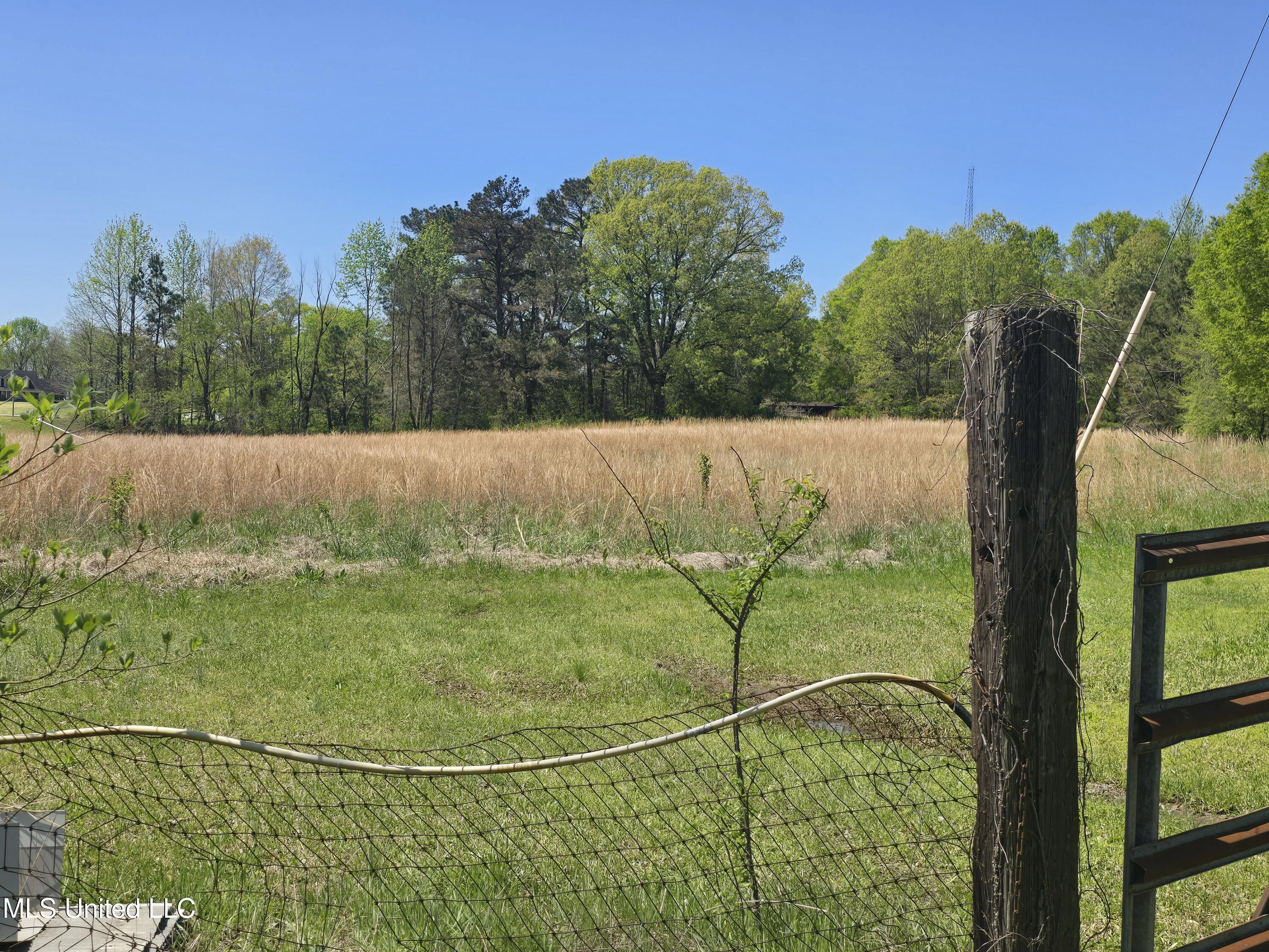 3561 Johnston Road Hernando, MS 38632 - Photo 4 of 7 20250408_120626