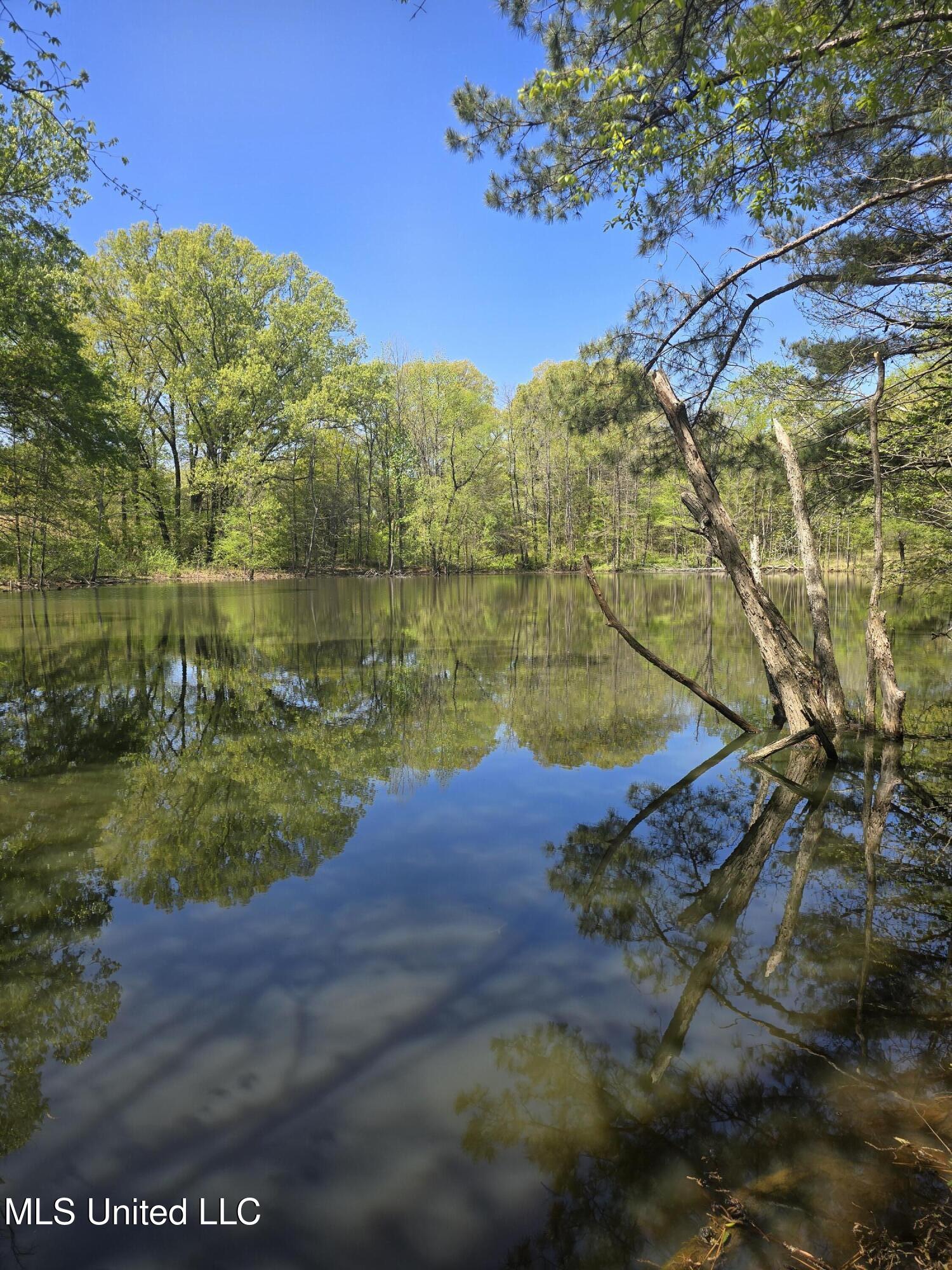 3561 Johnston Road Hernando, MS 38632 - Photo 5 of 7 20250408_121742