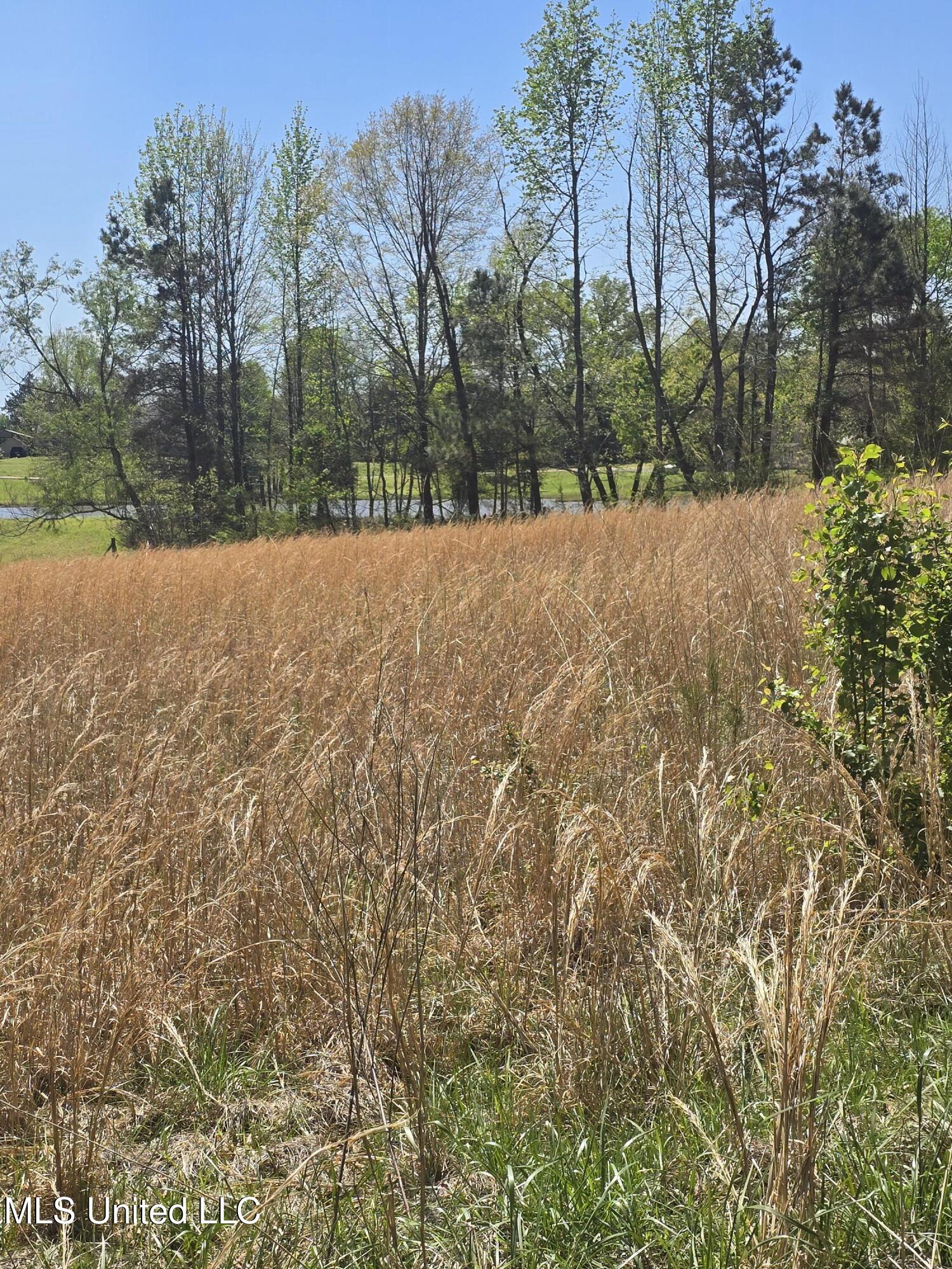 3561 Johnston Road Hernando, MS 38632 - Photo 6 of 7 20250408_123045