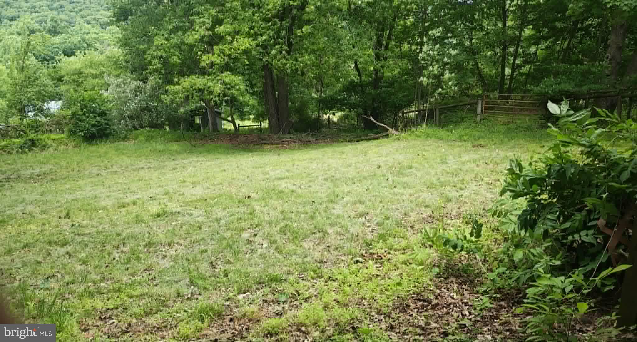 439 Trevorton Road Trevorton, PA 17881 - Photo 74 of 79 Lush green retreat in nature's embrace.