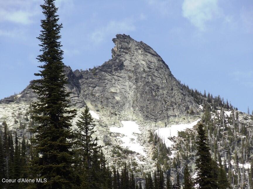 124 Brown Creek Road Naples, ID 83847 - Photo 59 of 65 Near to Area Mountains