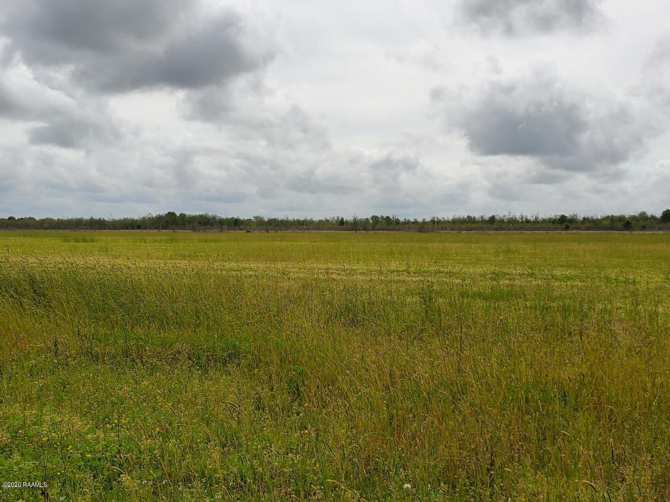 8 Kayla Lane Church Point, LA 70525 - Photo 1 of 4 Lot 8 Kayla Lane pic2