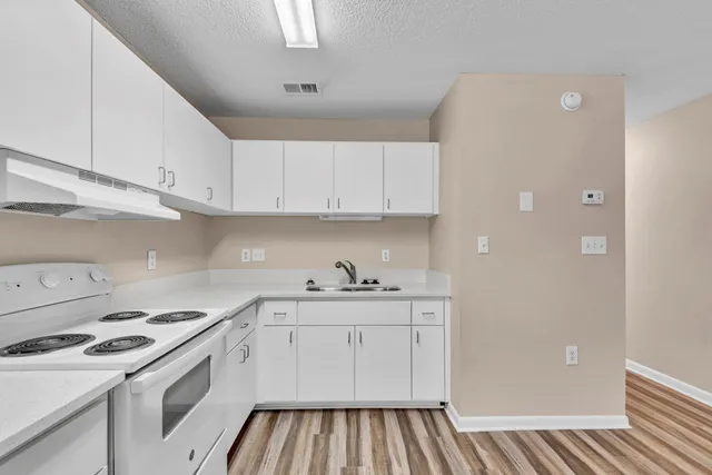 a kitchen with a sink a stove and cabinets