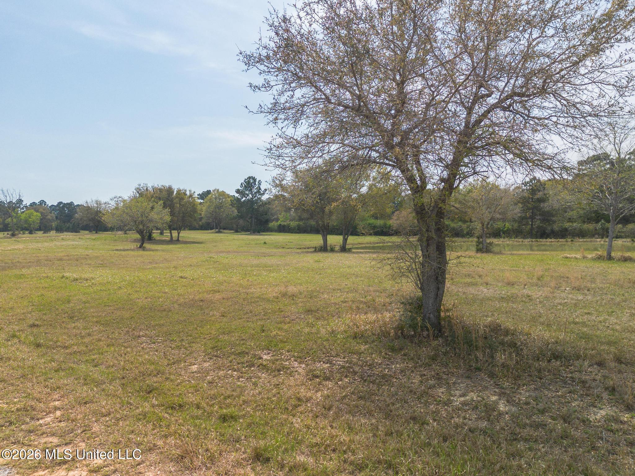 Mennonite Road Gulfport, MS 39503 - Photo 9 of 10 DJI_0630