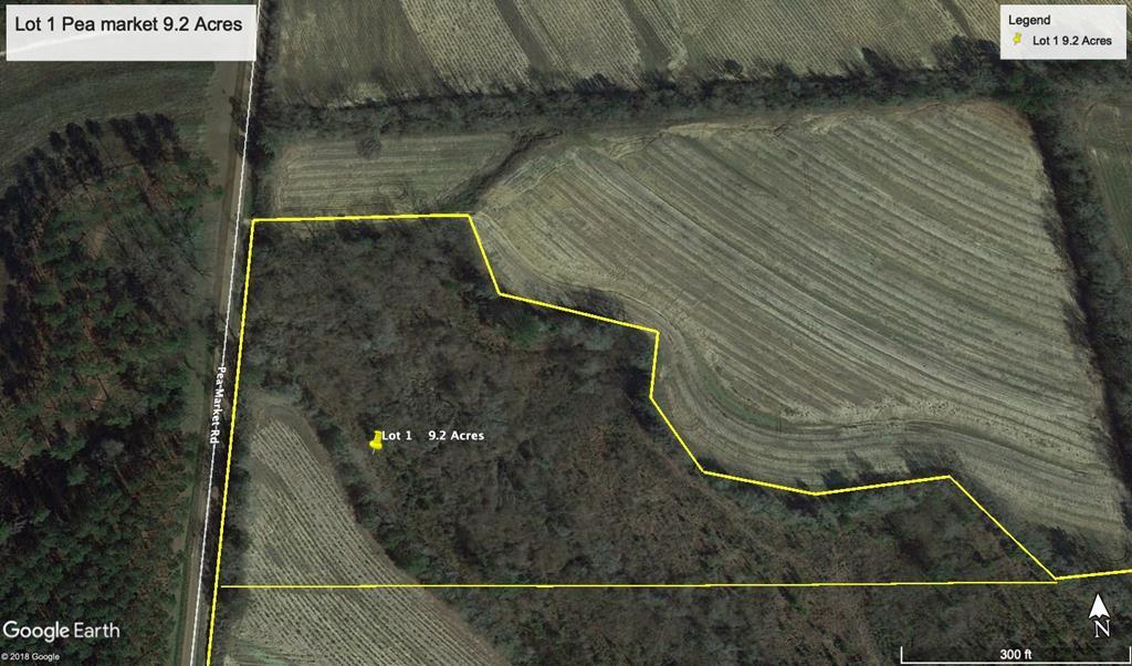 9.2-acre Pea Market Road Columbia, AL 36319 - Photo 1 of 1