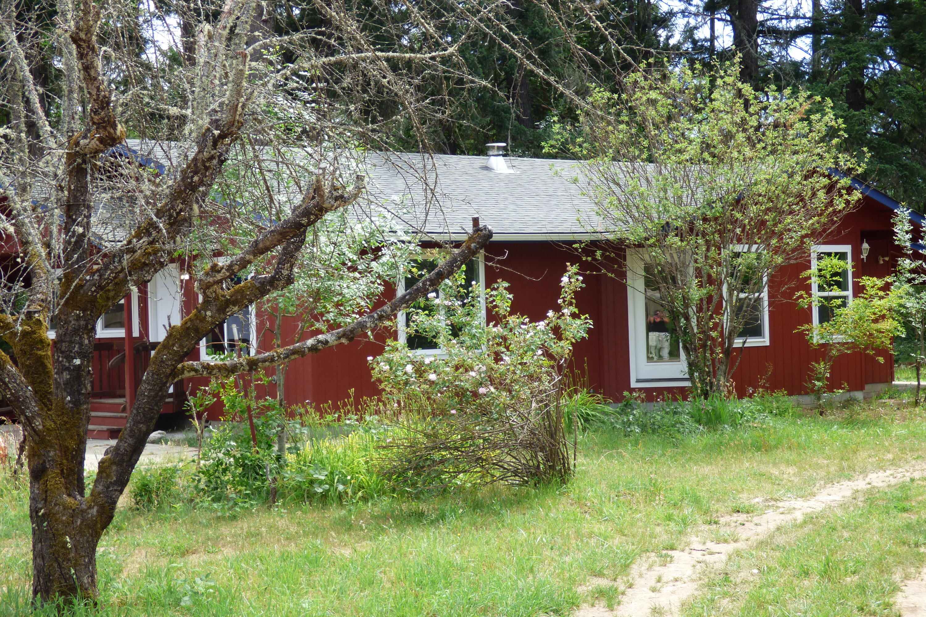 689 Hummingbird Road Cave Junction, OR 97523 - Photo 19 of 23 front view of a house with a yard