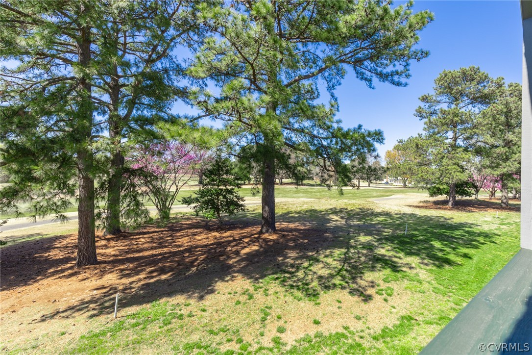 115 Pelhams Ordinary Williamsburg, VA 23185 - Photo 24 of 31 a view of a yard with plants and trees