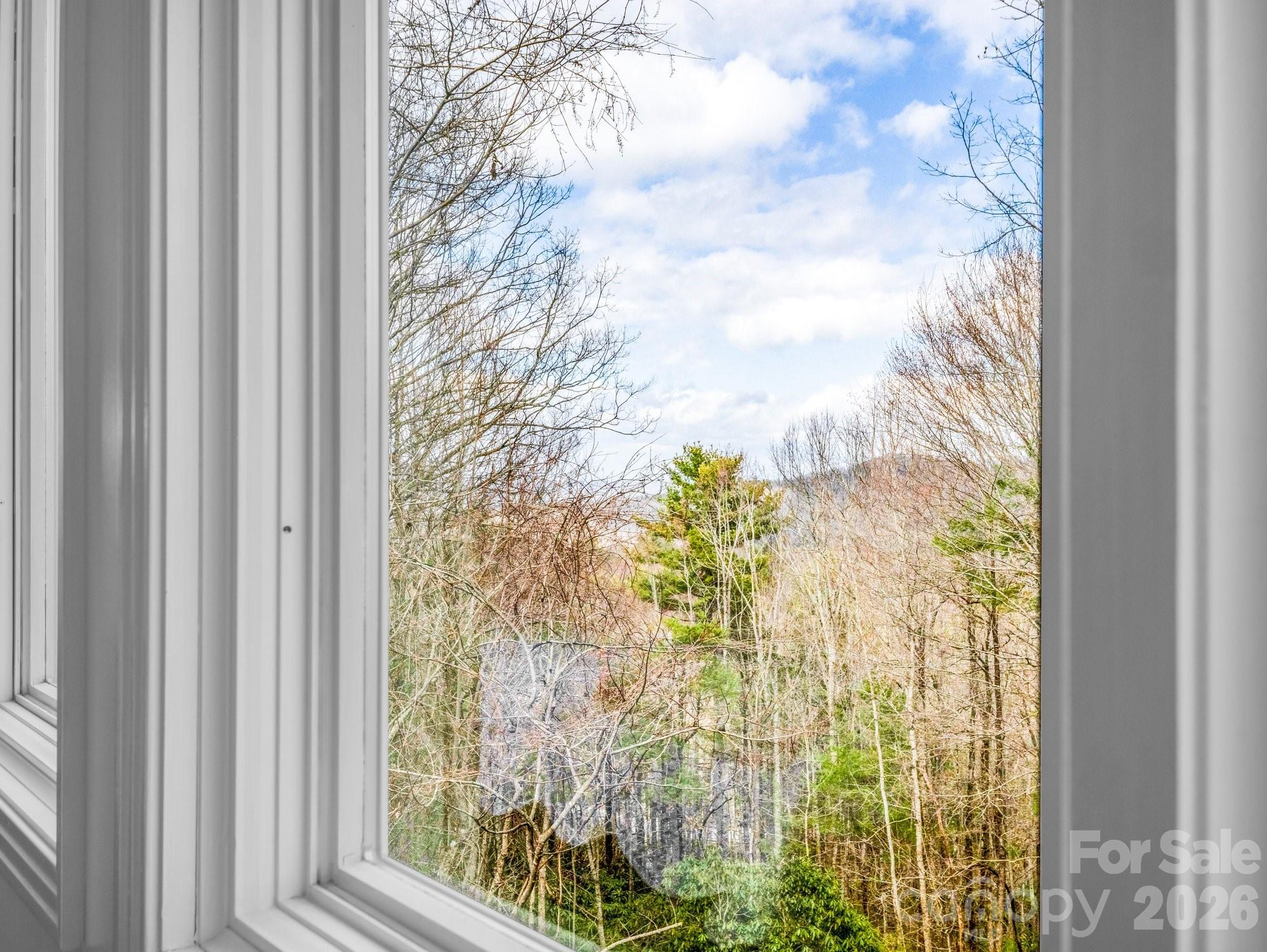 209 Walnut Ridge Road Brevard, NC 28712 - Photo 23 of 42