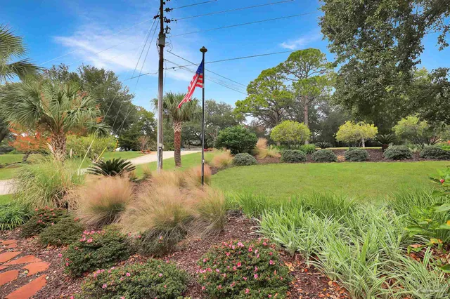 a view of a yard with plants