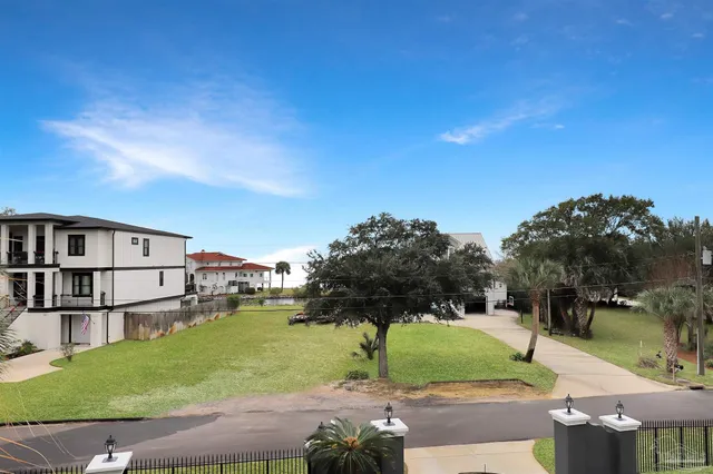 a view of backyard with large tree and plants
