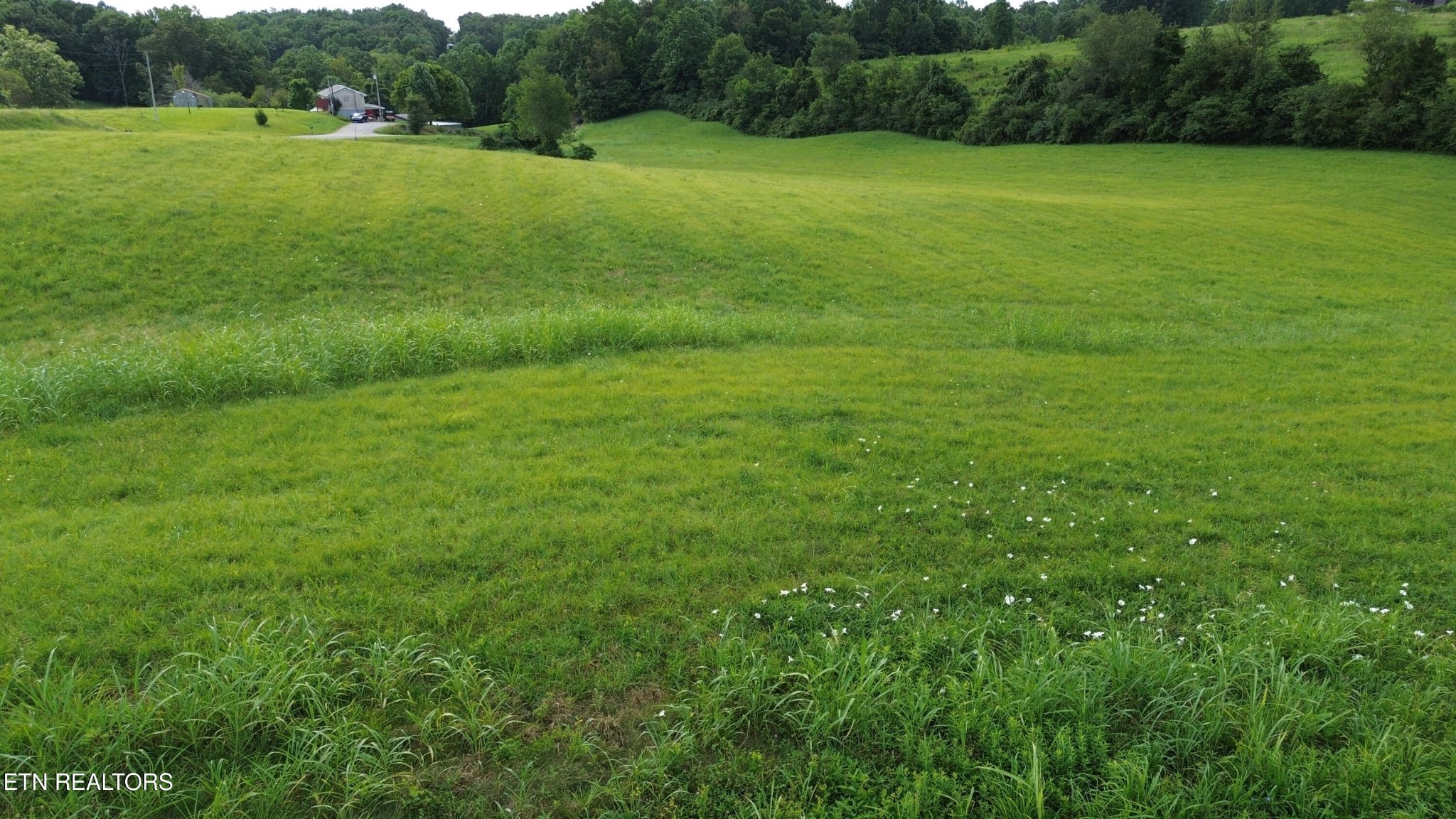 85 Flowers Road Monroe, TN 38573 - Photo 4 of 6 a view of a green field with plants