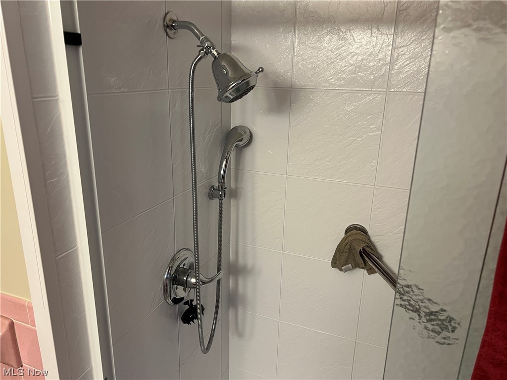 52995 Cash Ridge Road Shadyside, OH 43947 - Photo 13 of 32 Room details featuring a tile shower