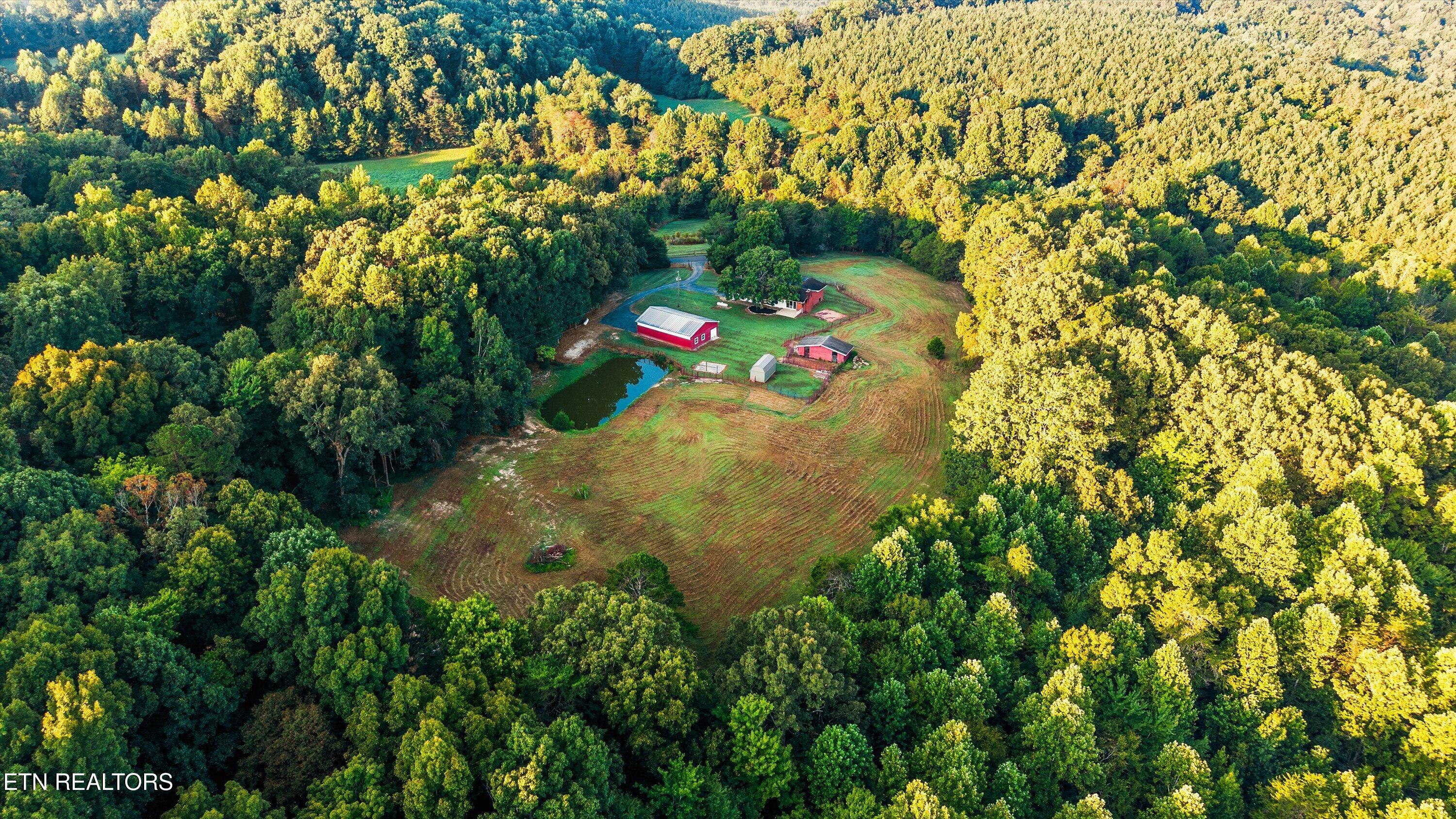 340 Pattie Gap Road Philadelphia, TN 37846 - Photo 42 of 44 42-340 Pattie Gap Rd 03
