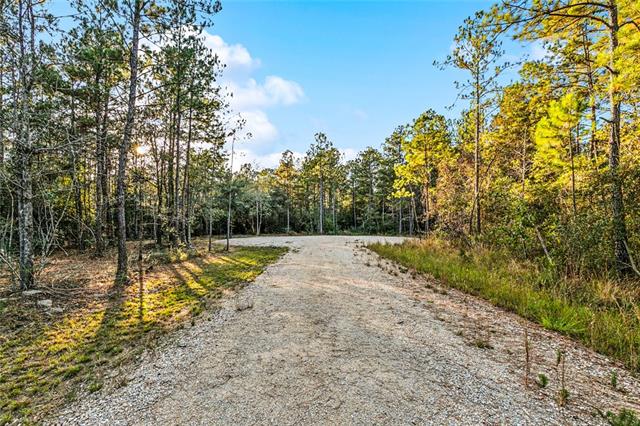 18383 Amore Way Covington, LA 70433 - Photo 3 of 6