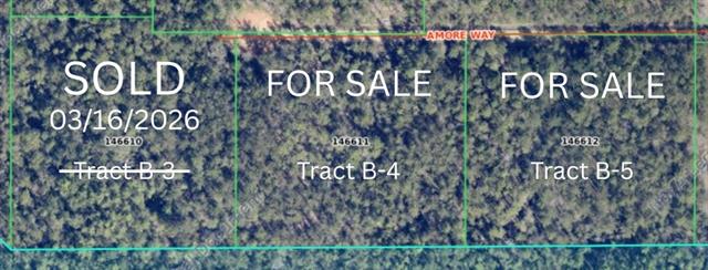 18383 Amore Way Covington, LA 70433 - Photo 6 of 6