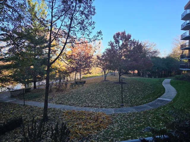 a view of a park with large trees