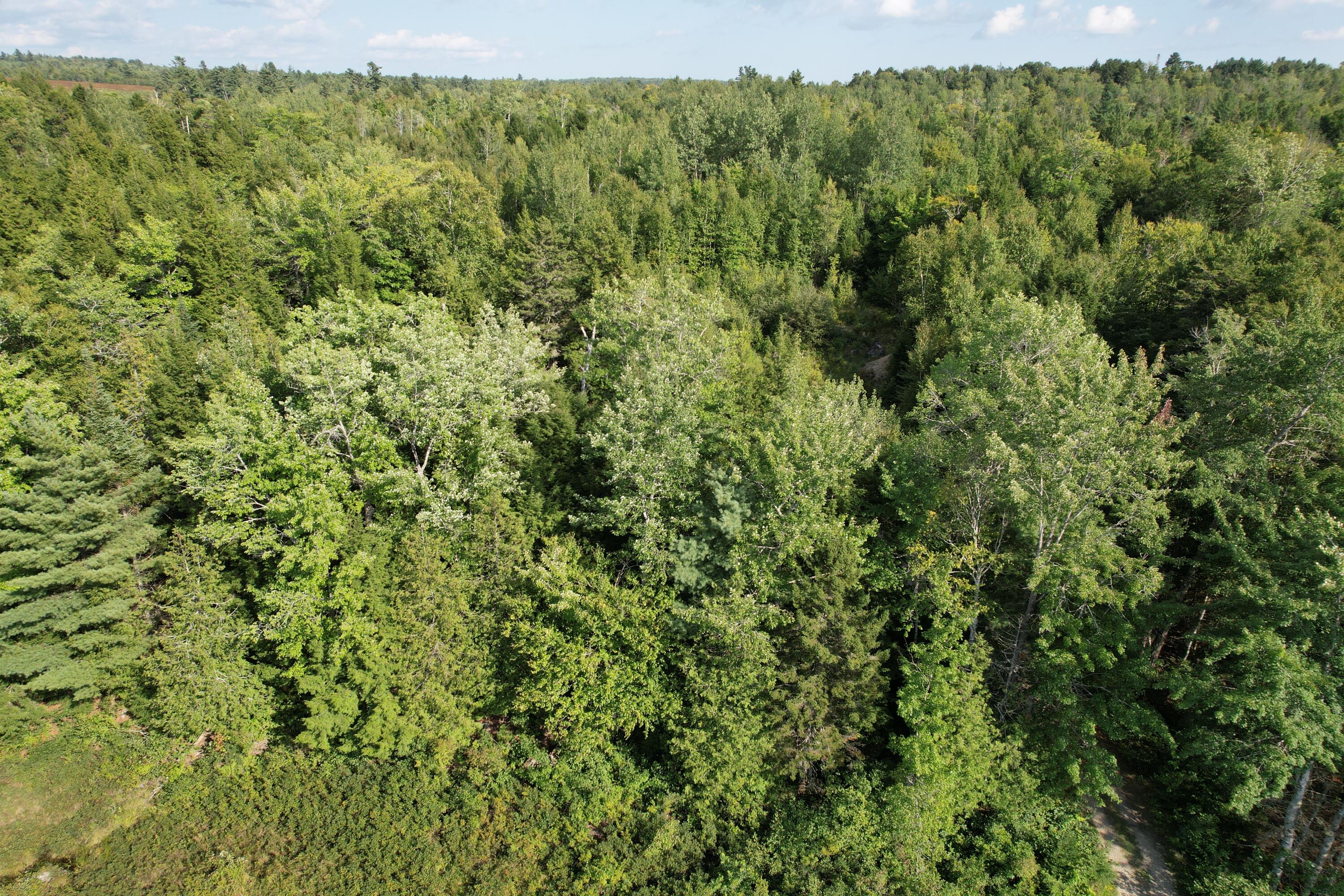 69 K Christmas Cove Road Crawford, ME 04694 - Photo 8 of 18 DJI_0022