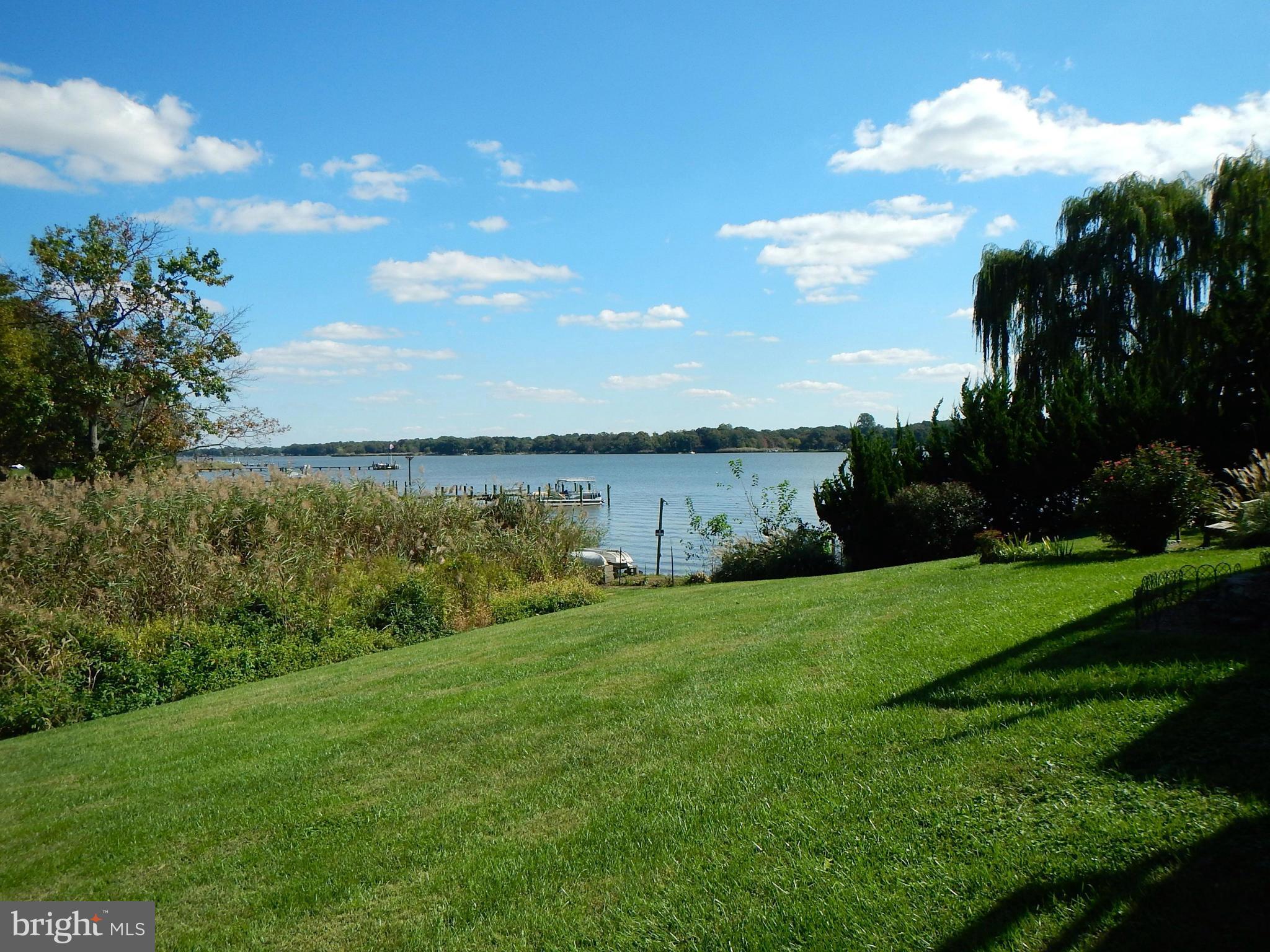 118 Riverside Terrace, Unit 8 Chestertown, MD 21620 - Photo 9 of 29 View from the rear lawn