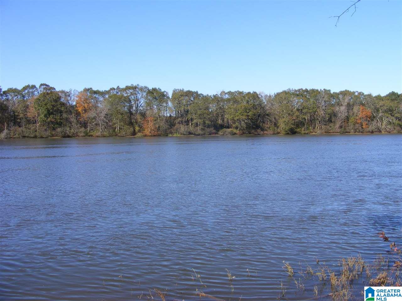 8229 McGowans Ferry Road Childersburg, AL 35044 - Photo 7 of 7