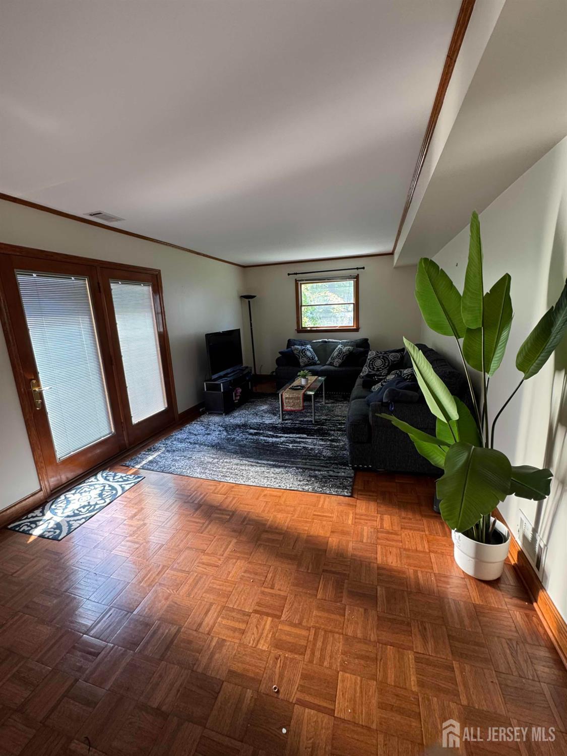 5 Timothy Court Edison, NJ 08837 - Photo 17 of 21 a living room with furniture and a potted plant