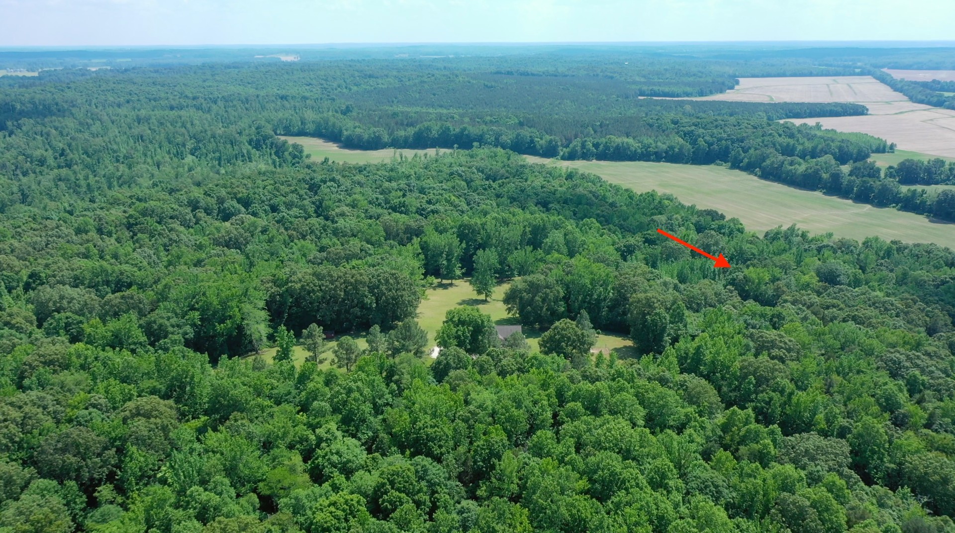 1770 Robinson Levee Road McKenzie, TN 38201 - Photo 1 of 1 Gallery Image 1