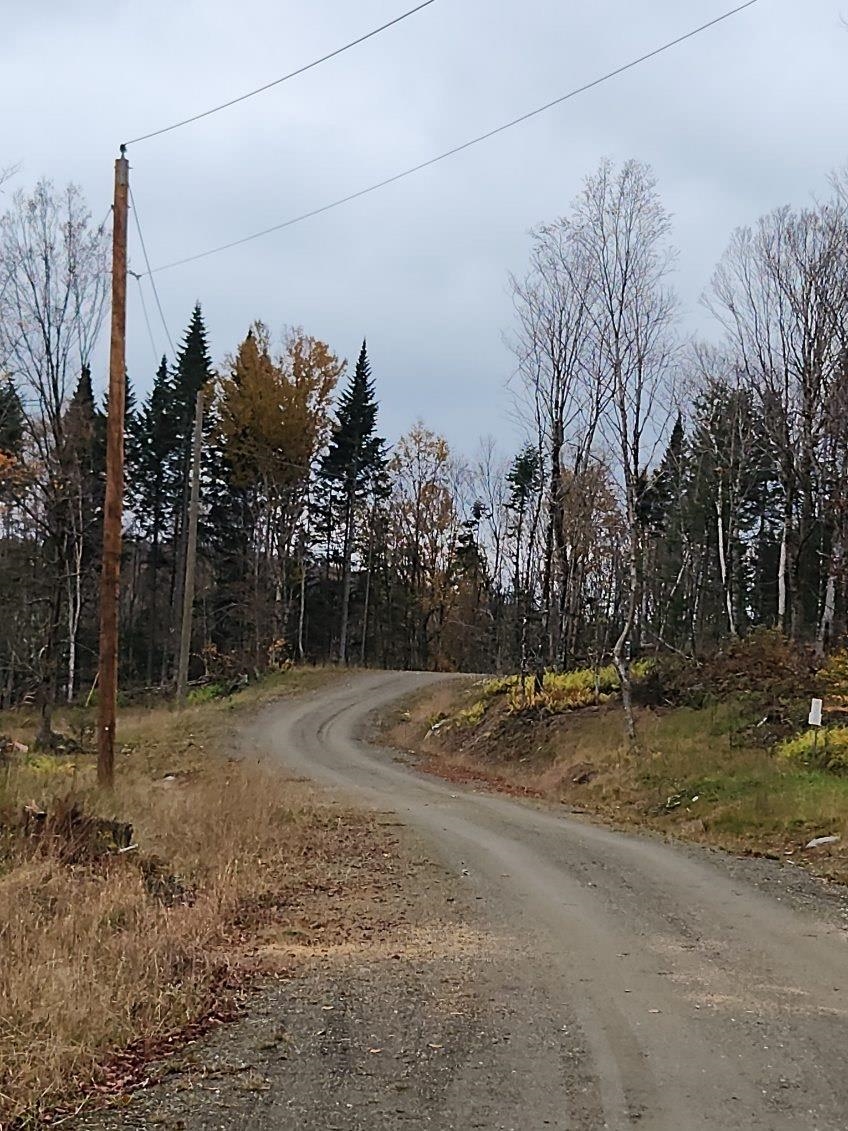 Diamond Pond Road Stewartstown, NH 03576 - Photo 1 of 1