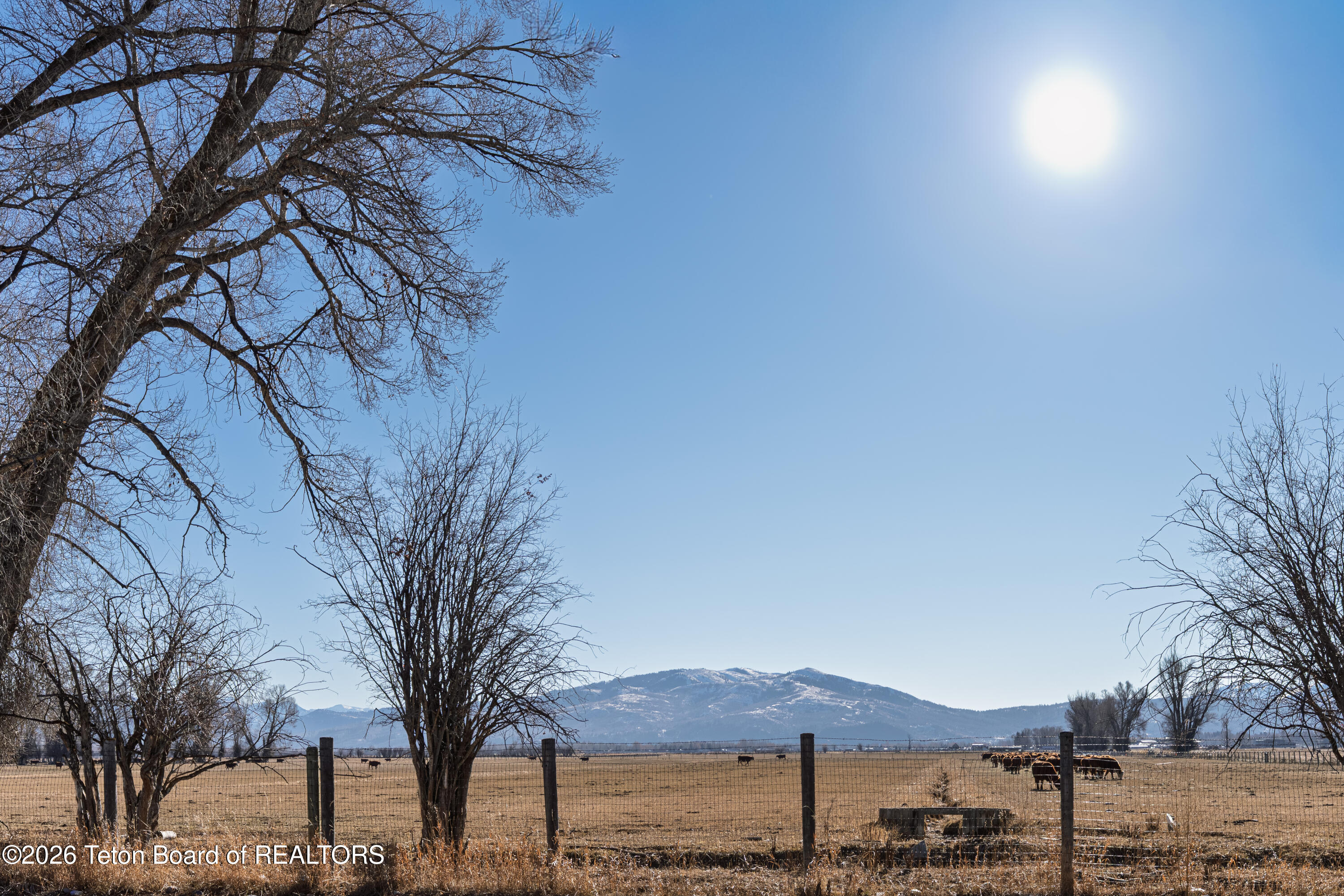 3016 Alpine View Lane Jackson, WY 83001 - Photo 19 of 21 3016AlpineView_JGPhoto-62