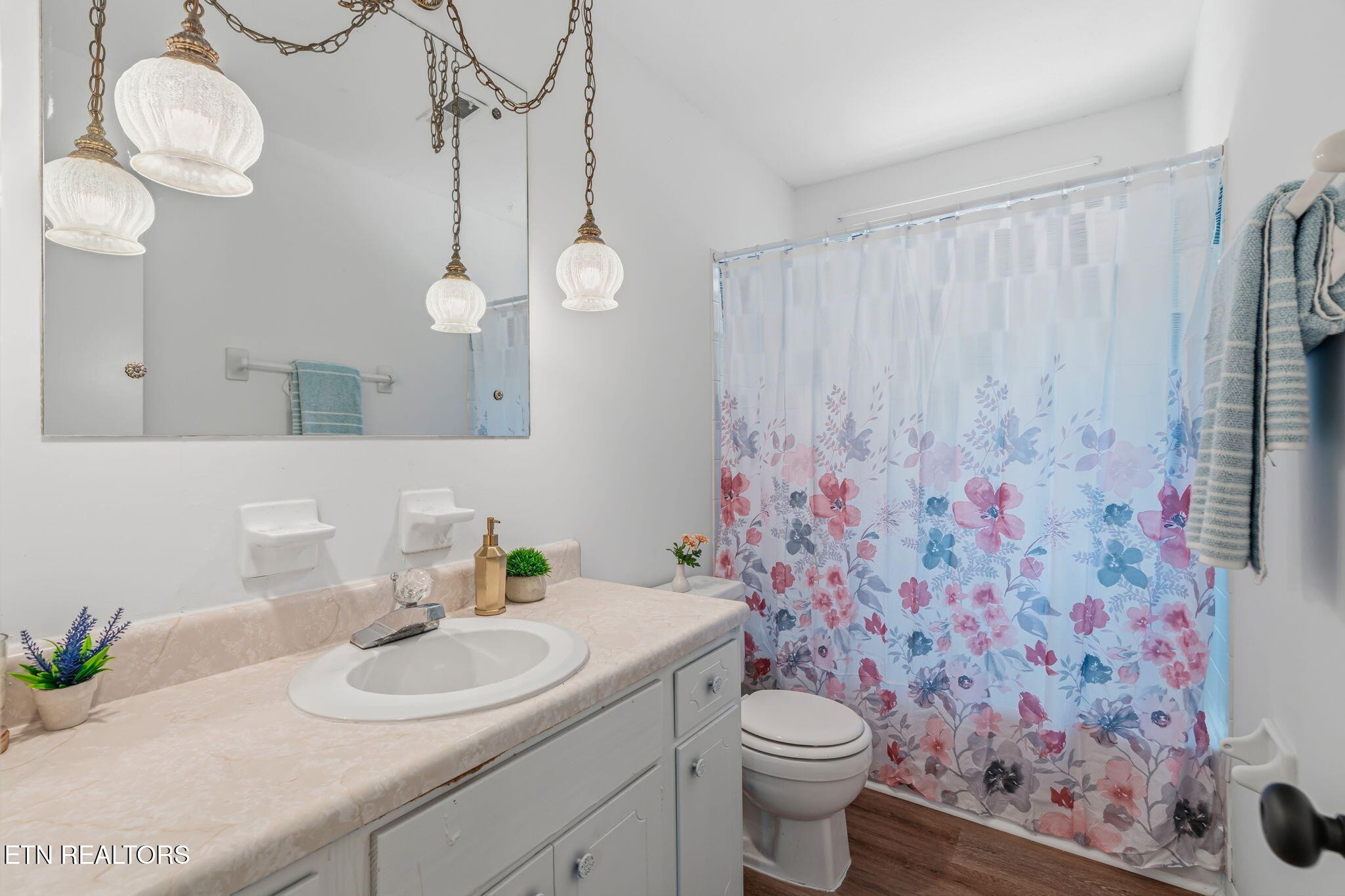 10008 Bluegrass Road Knoxville, TN 37922 - Photo 35 of 43 Gallery Image 35