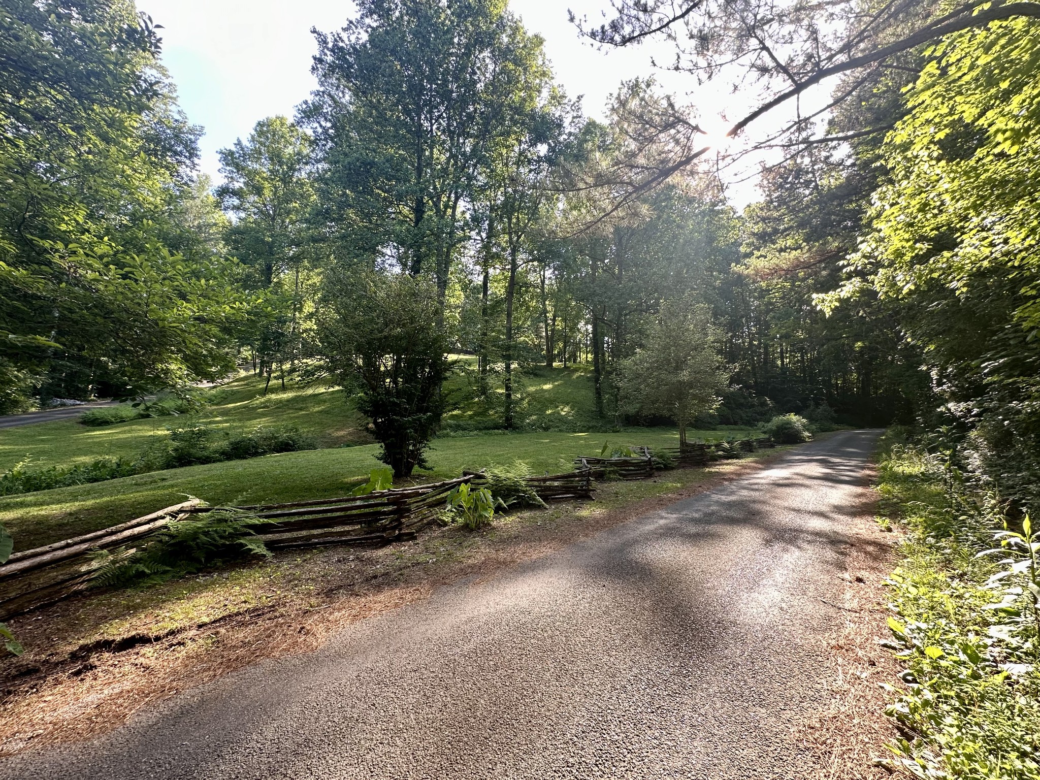 61 Nelson Road Lawrenceburg, TN 38464 - Photo 2 of 55 a view of a park with large trees