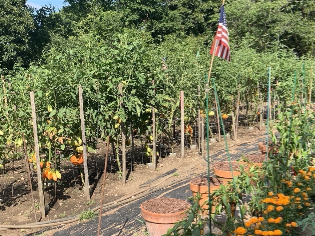 6 Greystone Drive, Unit 6 Middleton, MA 01949 - Photo 40 of 40