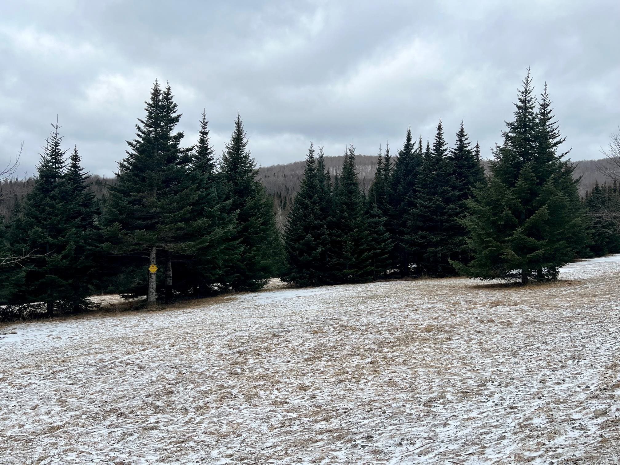 - Frizzell Road Canaan, VT 05903 - Photo 6 of 10
