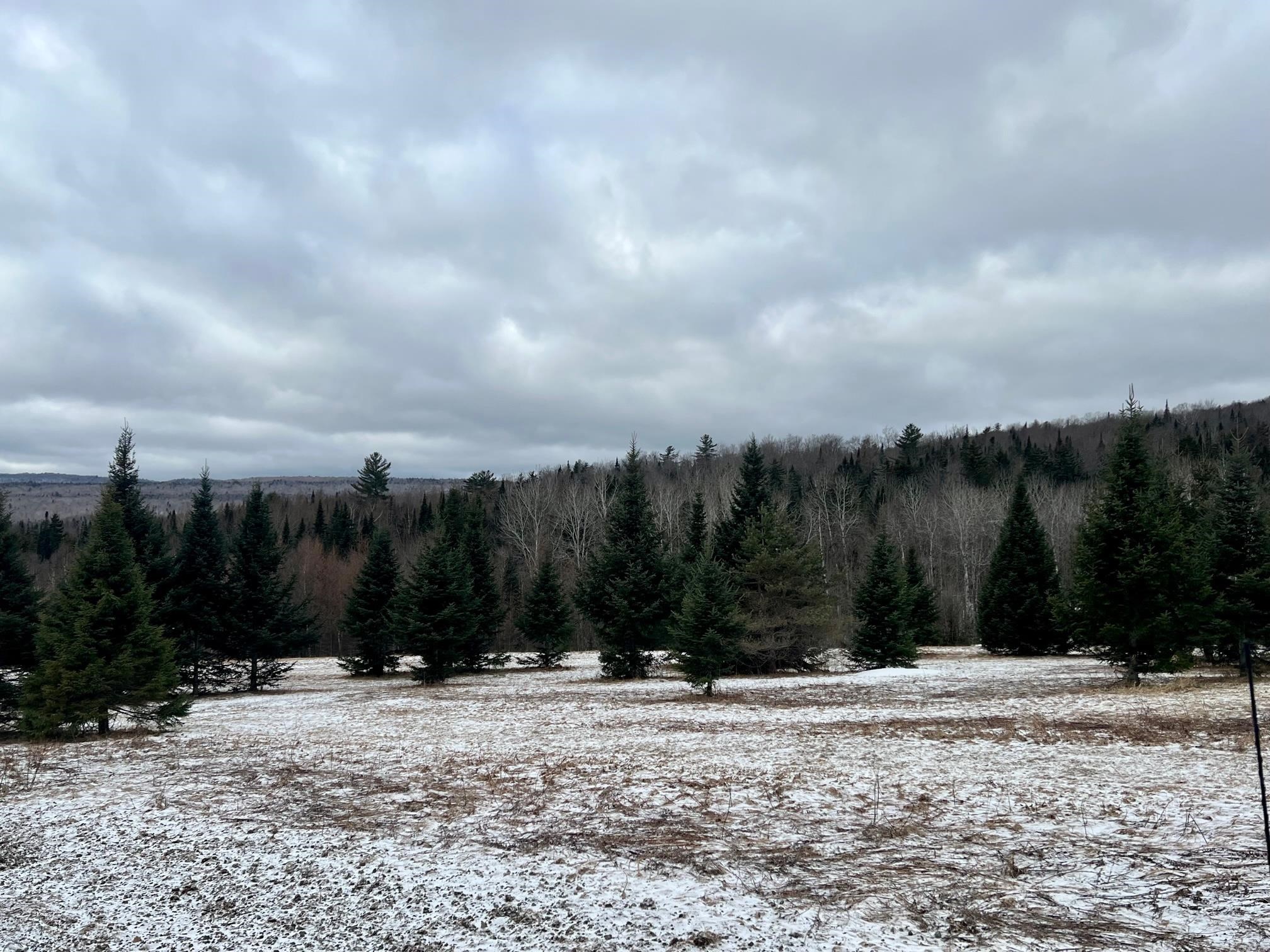 - Frizzell Road Canaan, VT 05903 - Photo 9 of 10