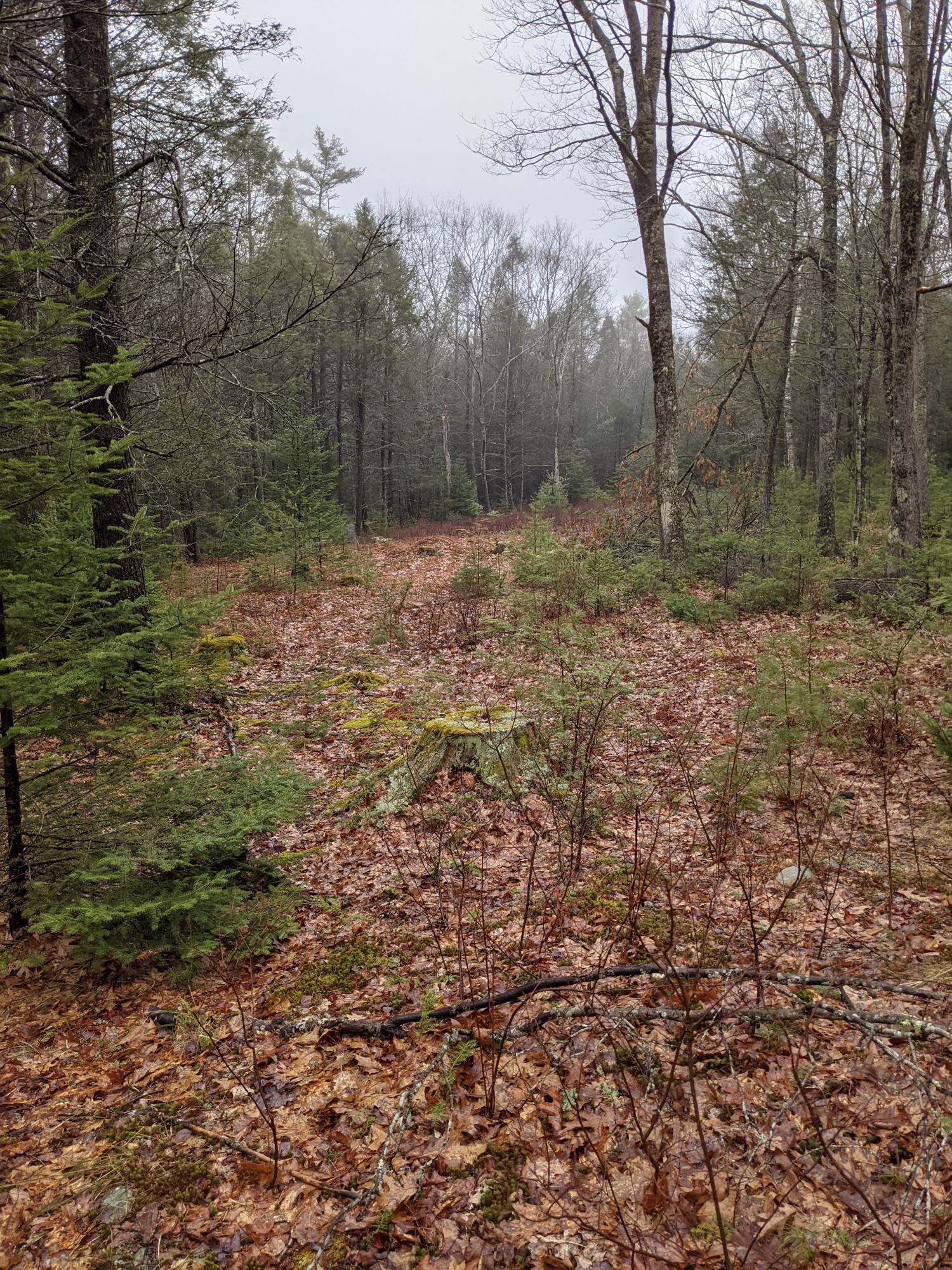 0 Bald Head Road Bath, ME 04530 - Photo 1 of 1 PXL_20210326_174321121.MP