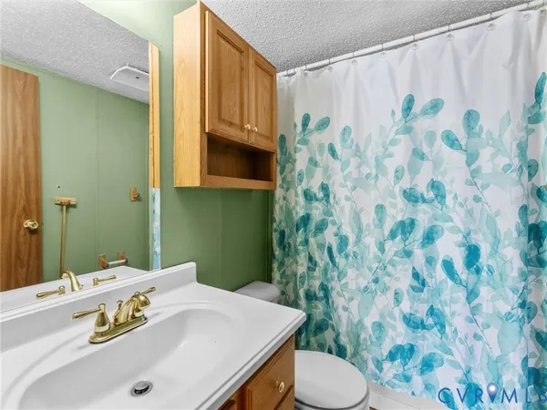a bathroom with a sink a toilet and shower curtain