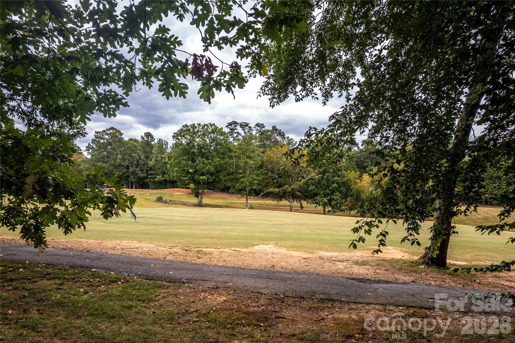 668 Players Ridge Road Hickory, NC 28601 - Photo 48 of 48 a view of a yard with a tree