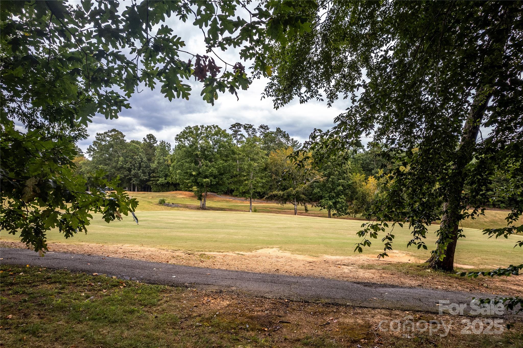 668 Players Ridge Road Hickory, NC 28601 - Photo 48 of 48 a view of a yard with a tree