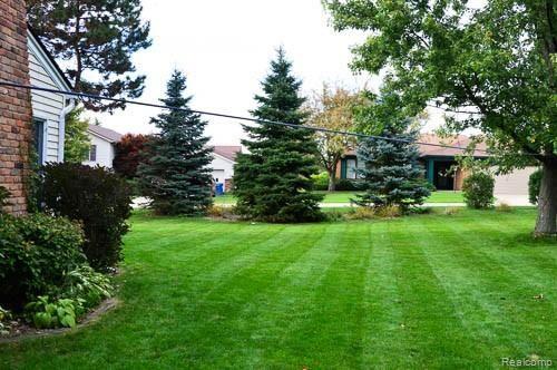 990 Dahlia Lane Rochester, MI 48307 - Photo 6 of 35 large yard on side of house, ideal for animals and kids