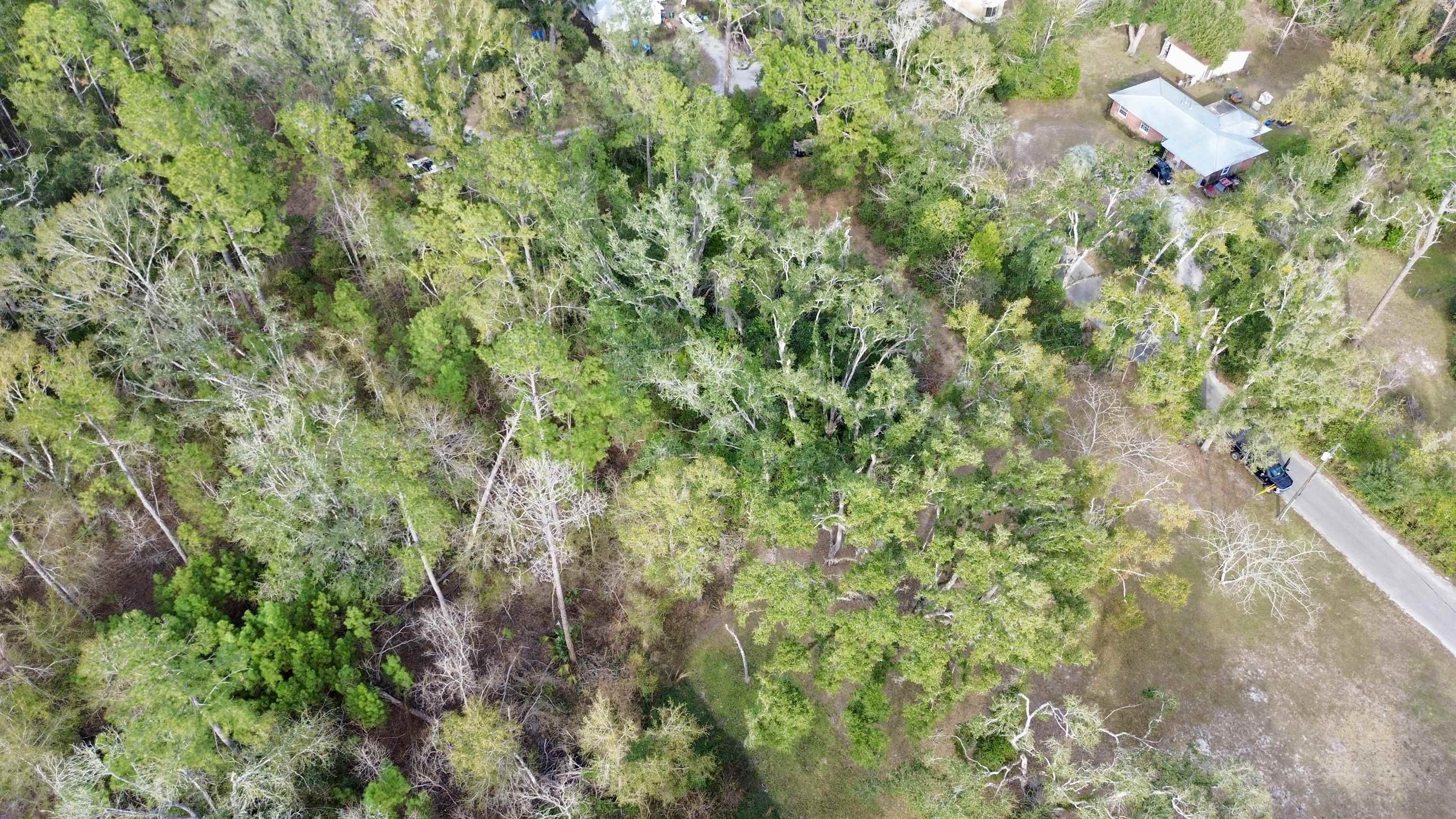 Undisclosed Address Perry, FL 32347 - Photo 11 of 21