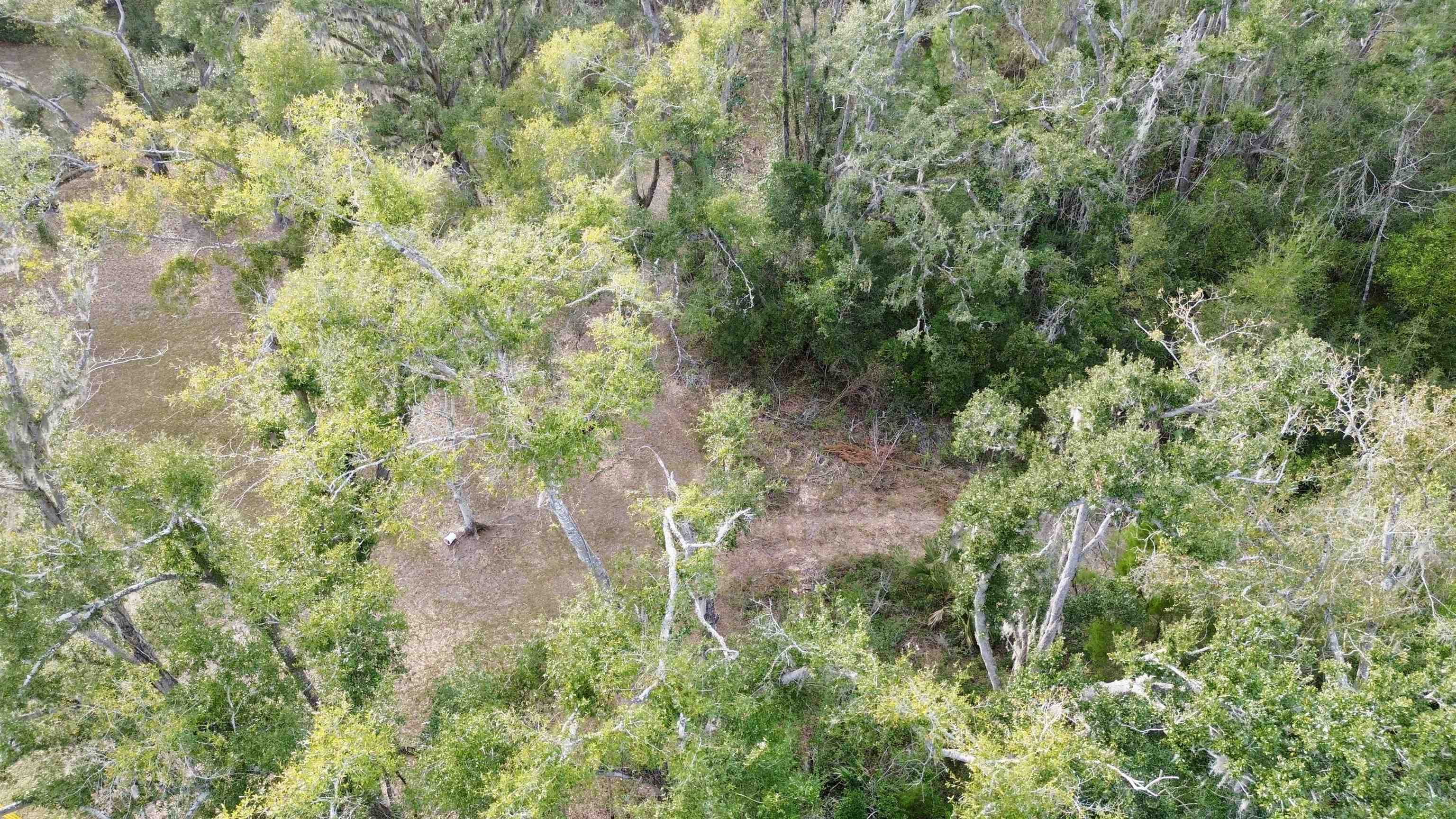 Undisclosed Address Perry, FL 32347 - Photo 14 of 21