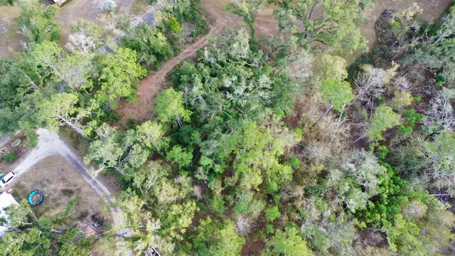 $13,000 | Vacant A Young Road, Perry, FL 32347