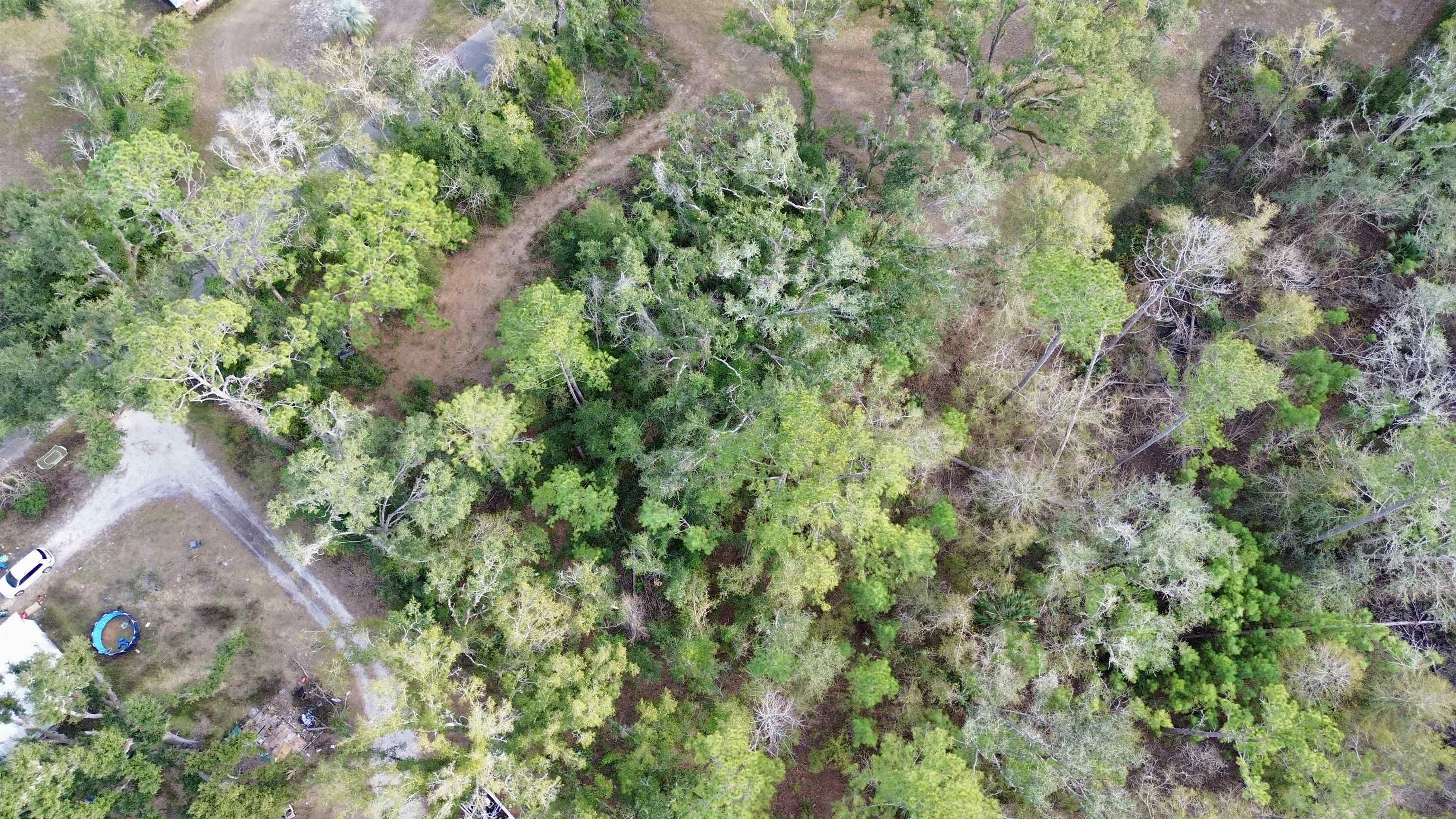 Undisclosed Address Perry, FL 32347 - Photo 17 of 21