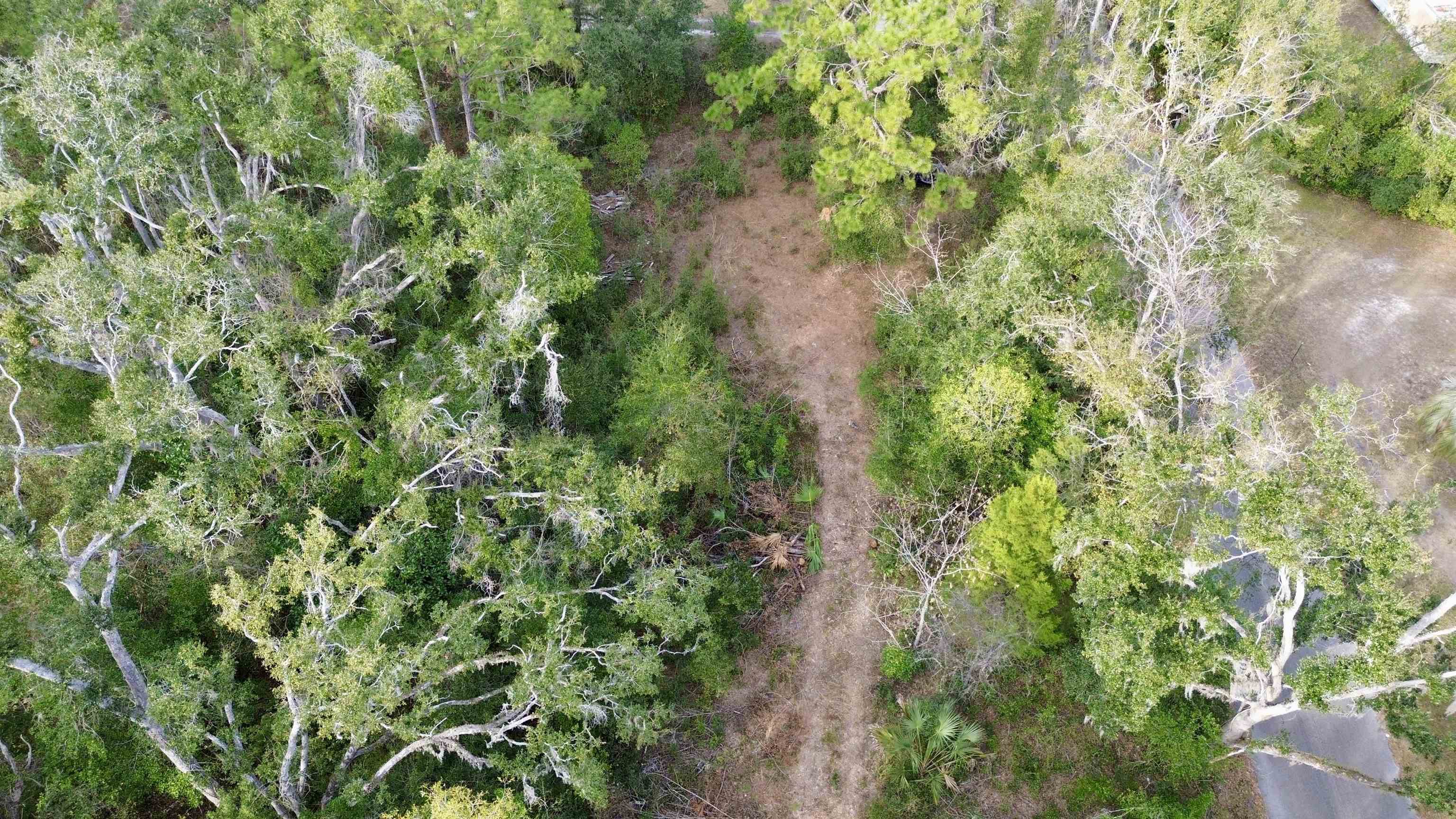 Undisclosed Address Perry, FL 32347 - Photo 20 of 21