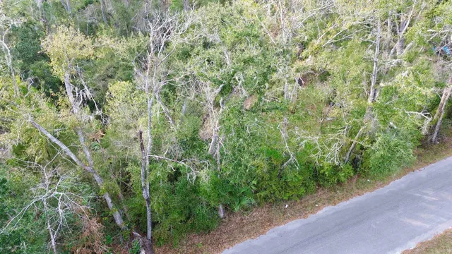 $13,000 | Vacant A Young Road, Perry, FL 32347