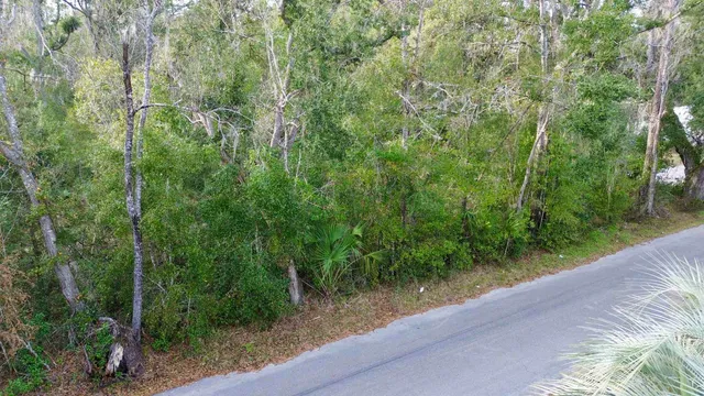 $13,000 | Vacant A Young Road, Perry, FL 32347