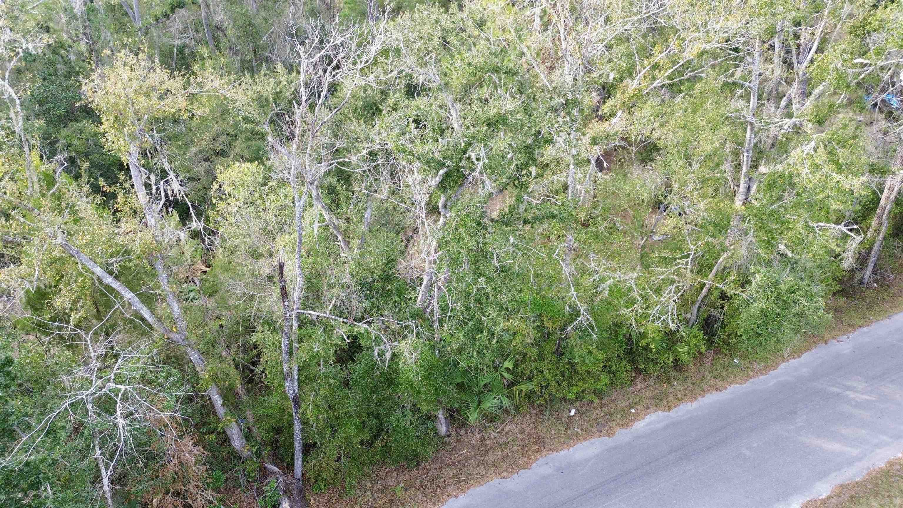 Undisclosed Address Perry, FL 32347 - Photo 21 of 21