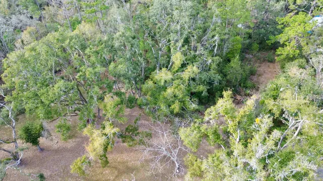 $13,000 | Vacant A Young Road, Perry, FL 32347